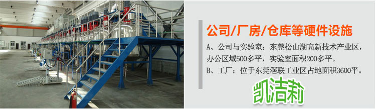 凱潔莉洗衣粉洗滌劑生產(chǎn)設備
