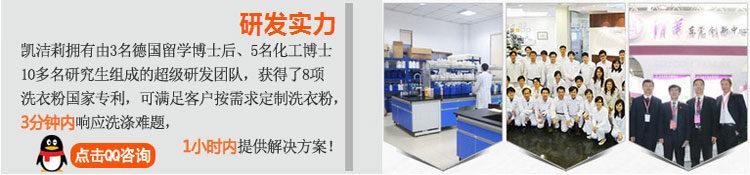 凱潔莉洗衣粉/洗滌劑研發(fā)團(tuán)隊